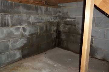 waterproofing